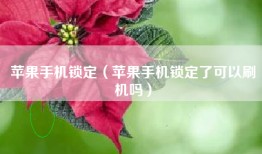 苹果手机锁定（苹果手机锁定了可以刷机吗）