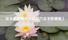 花手机壁纸（小鸟游六花手机壁纸）