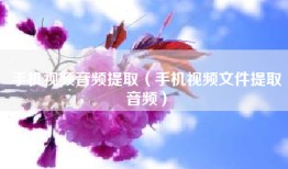 手机视频音频提取（手机视频文件提取音频）