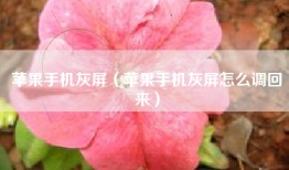 苹果手机灰屏（苹果手机灰屏怎么调回来）