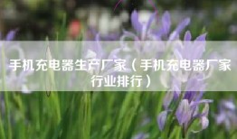 手机充电器生产厂家（手机充电器厂家行业排行）