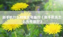 新手机什么时候充电最好（新手机该怎么充电最好）