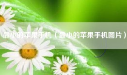 最小的苹果手机（最小的苹果手机图片）