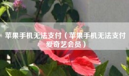 苹果手机无法支付（苹果手机无法支付爱奇艺会员）