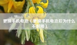 更换手机电池（更换手机电池后为什么不耐用）