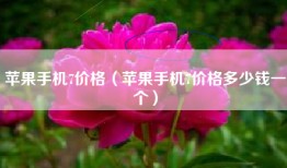 苹果手机7价格（苹果手机7价格多少钱一个）