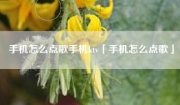 手机怎么点歌手机ktv「手机怎么点歌」