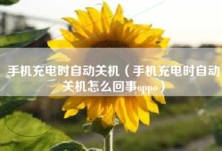 手机充电时自动关机（手机充电时自动关机怎么回事oppo）