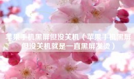 苹果手机黑屏但没关机（苹果手机黑屏但没关机就是一直黑屏发烫）