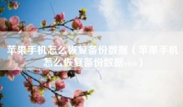 苹果手机怎么恢复备份数据（苹果手机怎么恢复备份数据vivo）