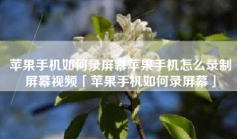 苹果手机如何录屏幕苹果手机怎么录制屏幕视频「苹果手机如何录屏幕」