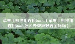 苹果手机停用连接itunes（苹果手机停用连接itunes怎么办恢复好要密码吗）