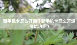 新手机卡怎么开通（新手机卡怎么开通短信功能）