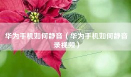 华为手机如何静音（华为手机如何静音录视频）