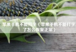 苹果手机不能打字（苹果手机不能打字了怎么恢复正常）