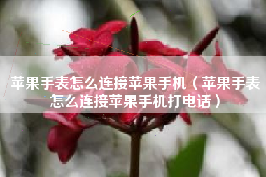 苹果手表怎么连接苹果手机（苹果手表怎么连接苹果手机打电话）