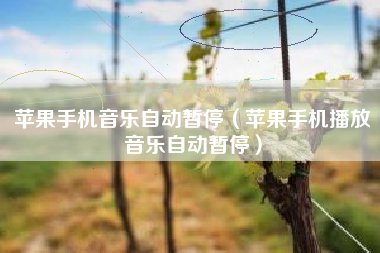 苹果手机音乐自动暂停（苹果手机播放音乐自动暂停）