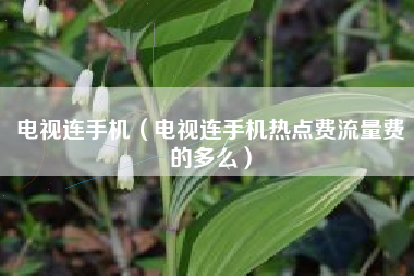 电视连手机（电视连手机热点费流量费的多么）