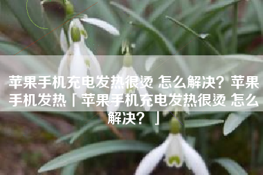 苹果手机充电发热很烫 怎么解决？苹果手机发热「苹果手机充电发热很烫 怎么解决？」